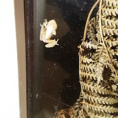 sublurpasjjj's profile picture. :D