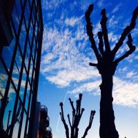 WE ARE CROUCH END (@wearecrouchend) 's Twitter Profile