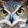 melwest14's profile picture. Housing and social policy. Keen birder and walker. Staunch Remainer and European.