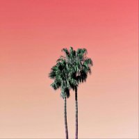 Zella💕 (@naughtyzella) Twitter profile photo