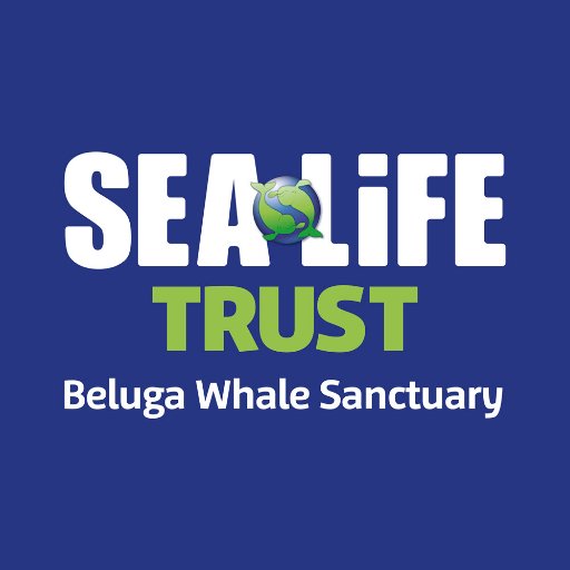 The SEA LIFE TRUST Beluga Whale Sanctuary is home to Little White and Little Grey, along with a puffin rescue centre and local aquarium.