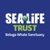 Beluga Whale Sanctuary (@BelugaSanctuary) Twitter profile photo