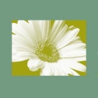 Asmatt Limited (@asmattl) 's Twitter Profile