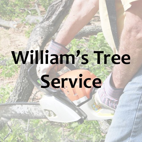 Locally owned and operated, William Tree Service is a full-service  company offering a variety of tree services for residential and  commercial customers.