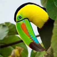 Loving Costa Rica(@PuraVidaLifeCR) 's Twitter Profile Photo