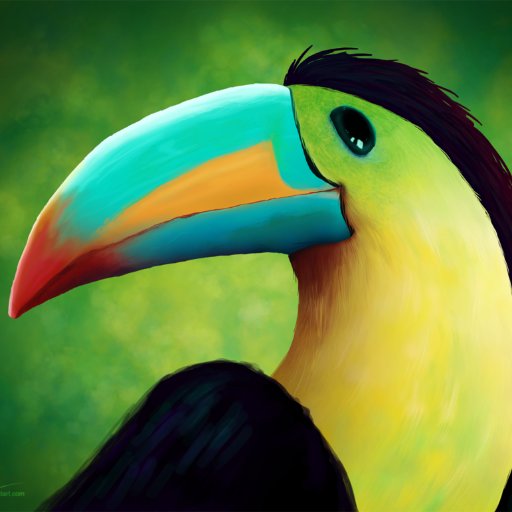 CostaRicaFunNow Profile Picture