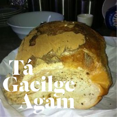 socorrain's profile picture. I got 500 likes once