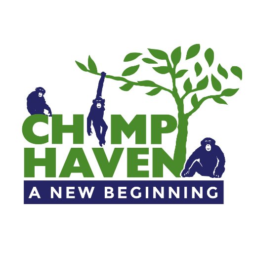 Chimp Havenさんのプロフィール画像