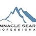 PinnacleSearchPros (@pinnsearchpros) Twitter profile photo PinnacleSearchPros (@pinnsearchpros) Twitter profile photo
