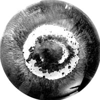 David Gruwier (@dgruwier) 's Twitter Profile Photo