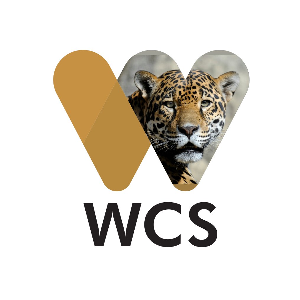 WCS_Mesoamerica Profile Picture