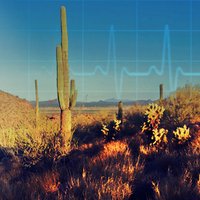 Southwest Regional Trauma Conference (@southwesttrauma) 's Twitter Profile