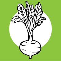 Patch to Table (@patchtotable) 's Twitter Profile