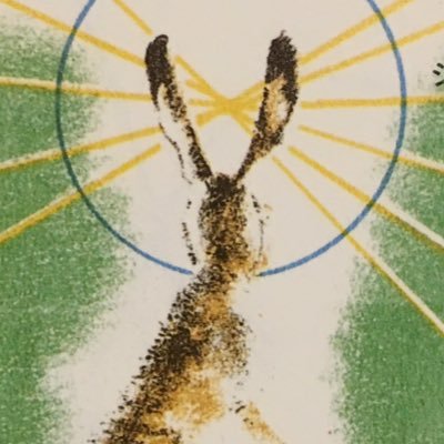 nousagi_no_flue's profile picture. 🌈ショートポップロックチューンバンド、フルー🌈