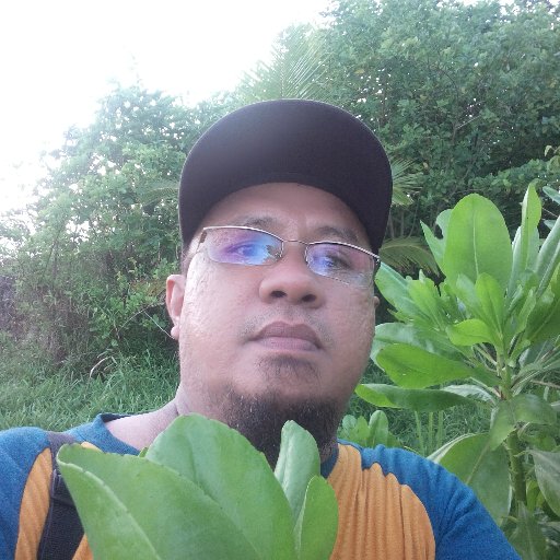 HeeringRudolf's profile picture. 