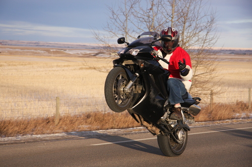 ztsceptor's profile picture. 