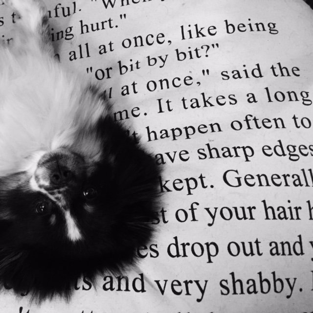 SimondsLk's profile picture. Author