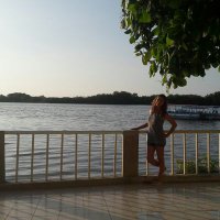 Giuliana RG (@okitoo08) 's Twitter Profile