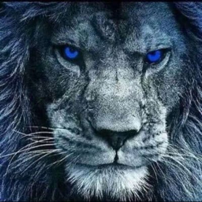 LvCalvary's profile picture. Awaken Christian academy                 Las Vegas