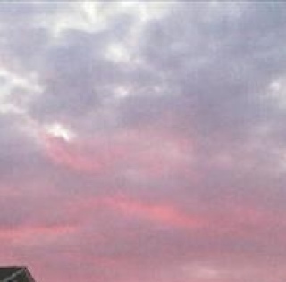 LegalizeLOCO's profile picture. 