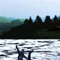 Mark T. Eideson (@markteideson) 's Twitter Profile