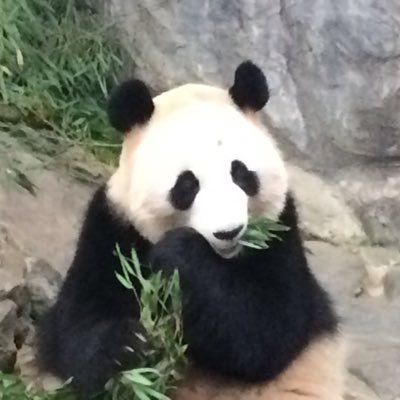 oD8xuWnen9sjm7H's profile picture. 