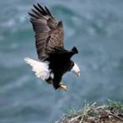 MolokoaneTN's profile picture. Trader, hiker, cycling