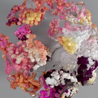 Studio Waltz Binaire (@waltzbinaire) 's Twitter Profile