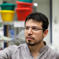 Fernando Rabanal (@malacopa_genome) 's Twitter Profile
