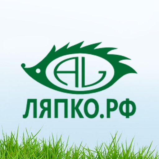 Интернет-магазин Аппликаторов Ляпко на территории Российской Федерации.