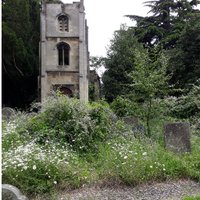 Bathwick St Mary's Churchyard Friends(@BathwickSt) 's Twitter Profile Photo