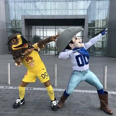 fiel seguidor del @ClubAmerica,  @Dallascowboys, y  @realmadrid, o acaso existe algo mejor? claro que no😎