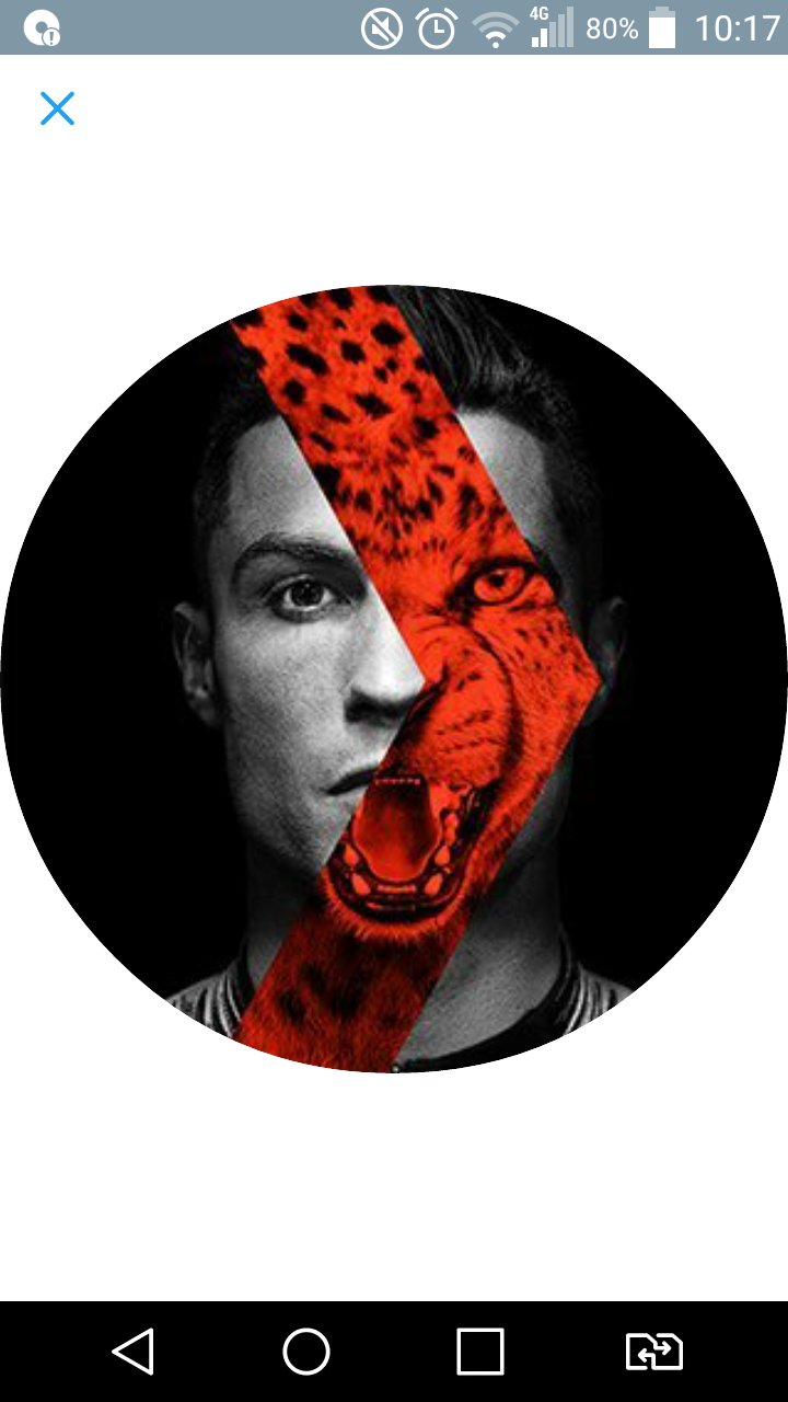 CRlSTl4NO's profile picture. Sou o papai