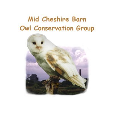 Mid Cheshire Barn Owl Conservation Group Cheshirebarnowl Twitter