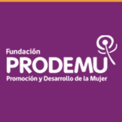 Misión: “Entregar herramientas a las mujeres para el desarrollo pleno de su autonomía, su liderazgo y el ejercicio de sus derechos”.
