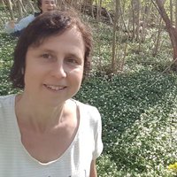Gisela Holm (@holmgisela) 's Twitter Profile