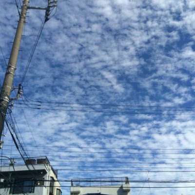 whiteduck0115's profile picture. 