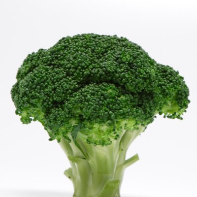 邦ロック好き。 メジャーインディーズ関係なくいろいろ聴きます!ほぼ雑食。さよならはブロックで。無言フォローすみません。