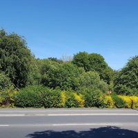 Friends of The Cherries Community Garden (@save_action) 's Twitter Profile