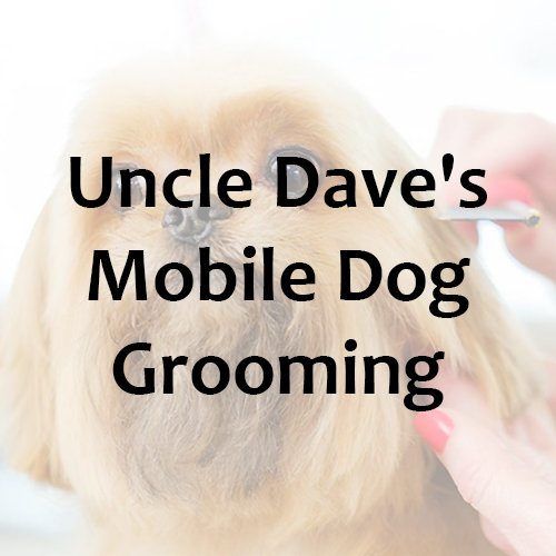 Full Service Pet Grooming in Ventura, CA