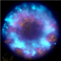 PayerLab (@payerlab) 's Twitter Profile Photo PayerLab (@payerlab) 's Twitter Profile Photo