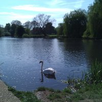 The Friends of Foots Cray Meadows (@friendscray) 's Twitter Profile