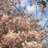 Pooh_027