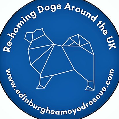 Dog charity  We get dogs for many different reasons from all over the UK We are dedicated to giving dogs the best possible care love and attention