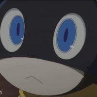 Ultimate zed (@zebra_man2) 's Twitter Profile