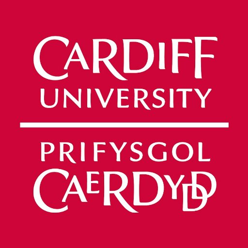 Cardiff Uni WHO CC for Midwifery Development Profile