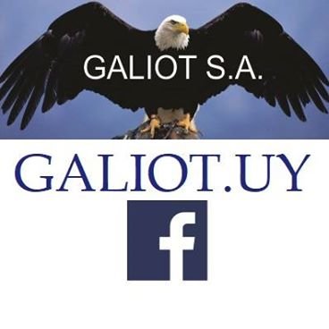GaliotUy Profile Picture