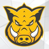 Hog Technologies (@hogtechnologies) 's Twitter Profile