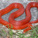 Steven Seelig - @sseelig - Twitter