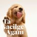 Mags (@tafann) Twitter profile photo Mags (@tafann) Twitter profile photo
